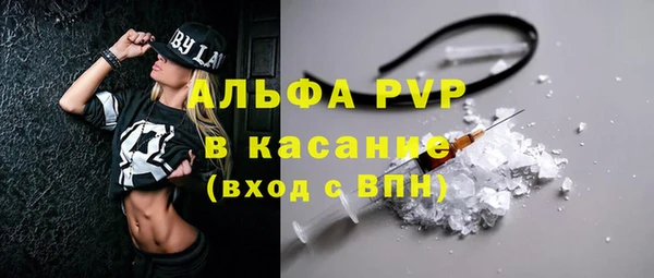 шишки Горняк