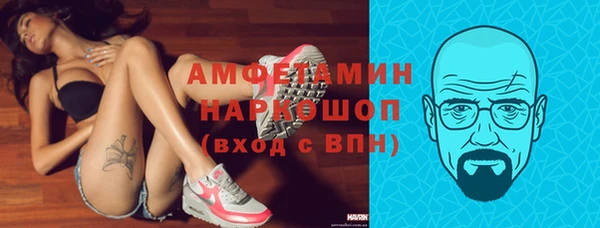 шишки Горняк