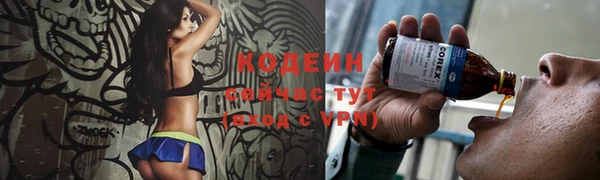 шишки Горняк