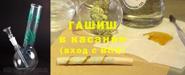 шишки Горняк