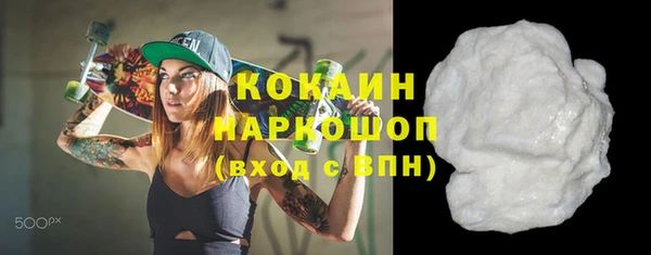 шишки Горняк