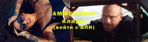 шишки Горняк