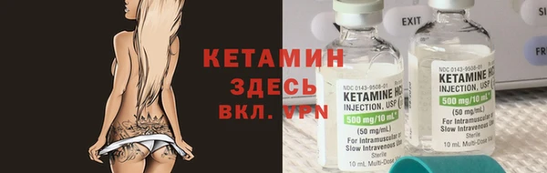 шишки Горняк