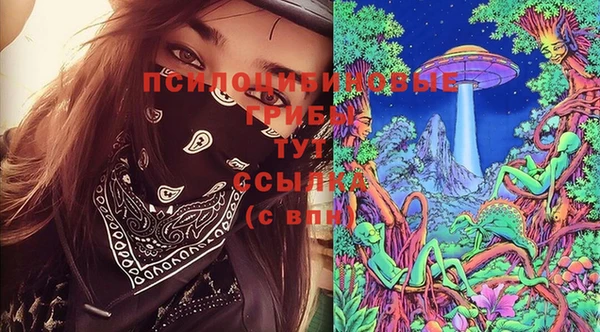 шишки Горняк