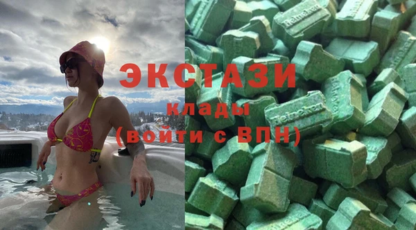 шишки Горняк