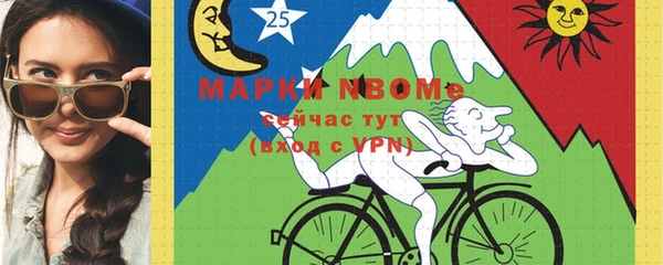 шишки Горняк