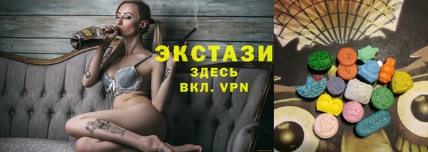 шишки Горняк