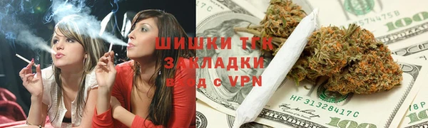 шишки Горняк