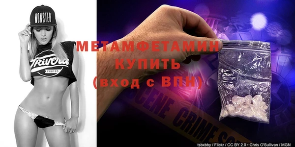 шишки Горняк