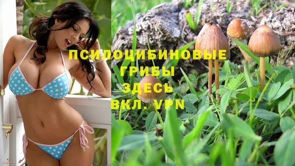 MESCALINE Горнозаводск