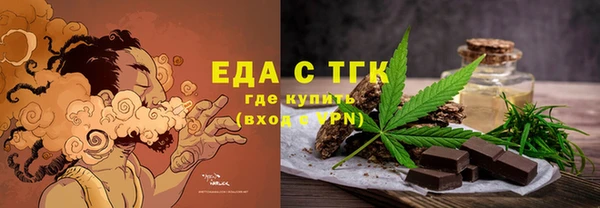 шишки Горняк